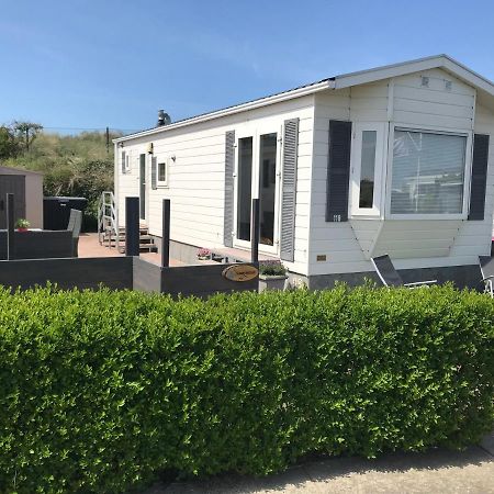Blauwe Zeedistel Villa IJmuiden Eksteriør bilde